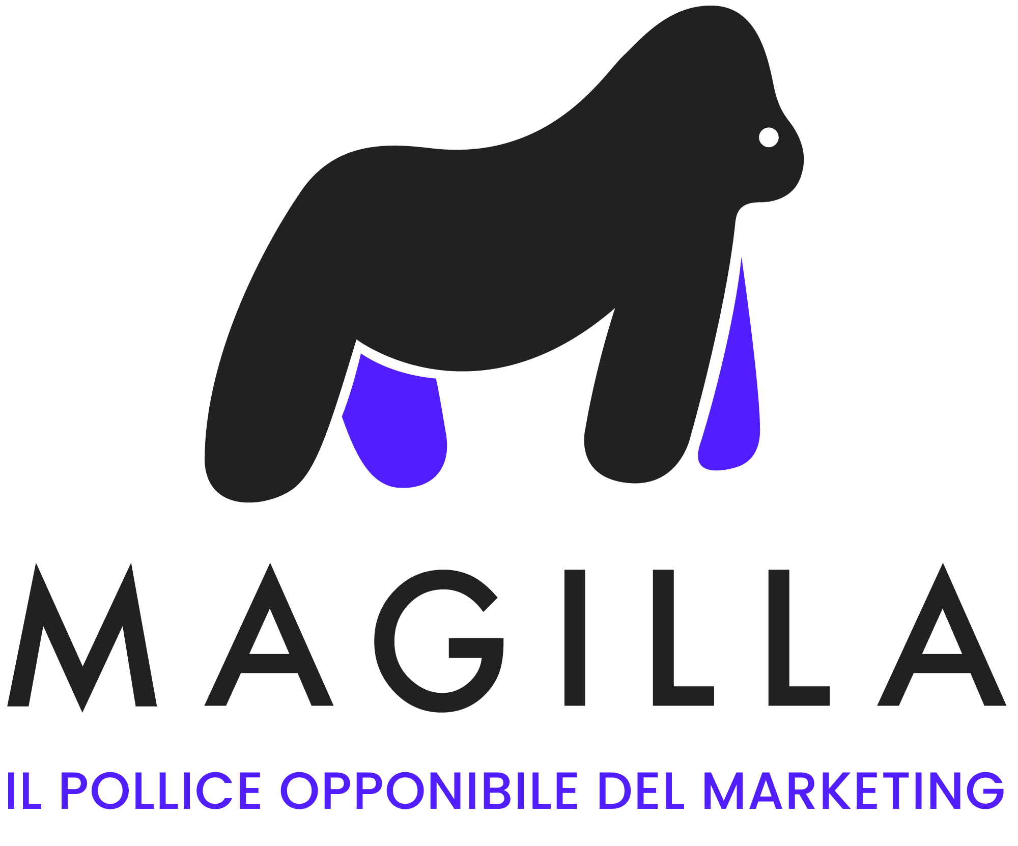 Magilla Agency