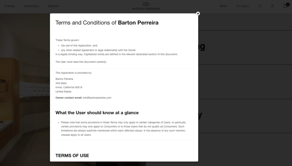 terms and conditions example from a fashion website